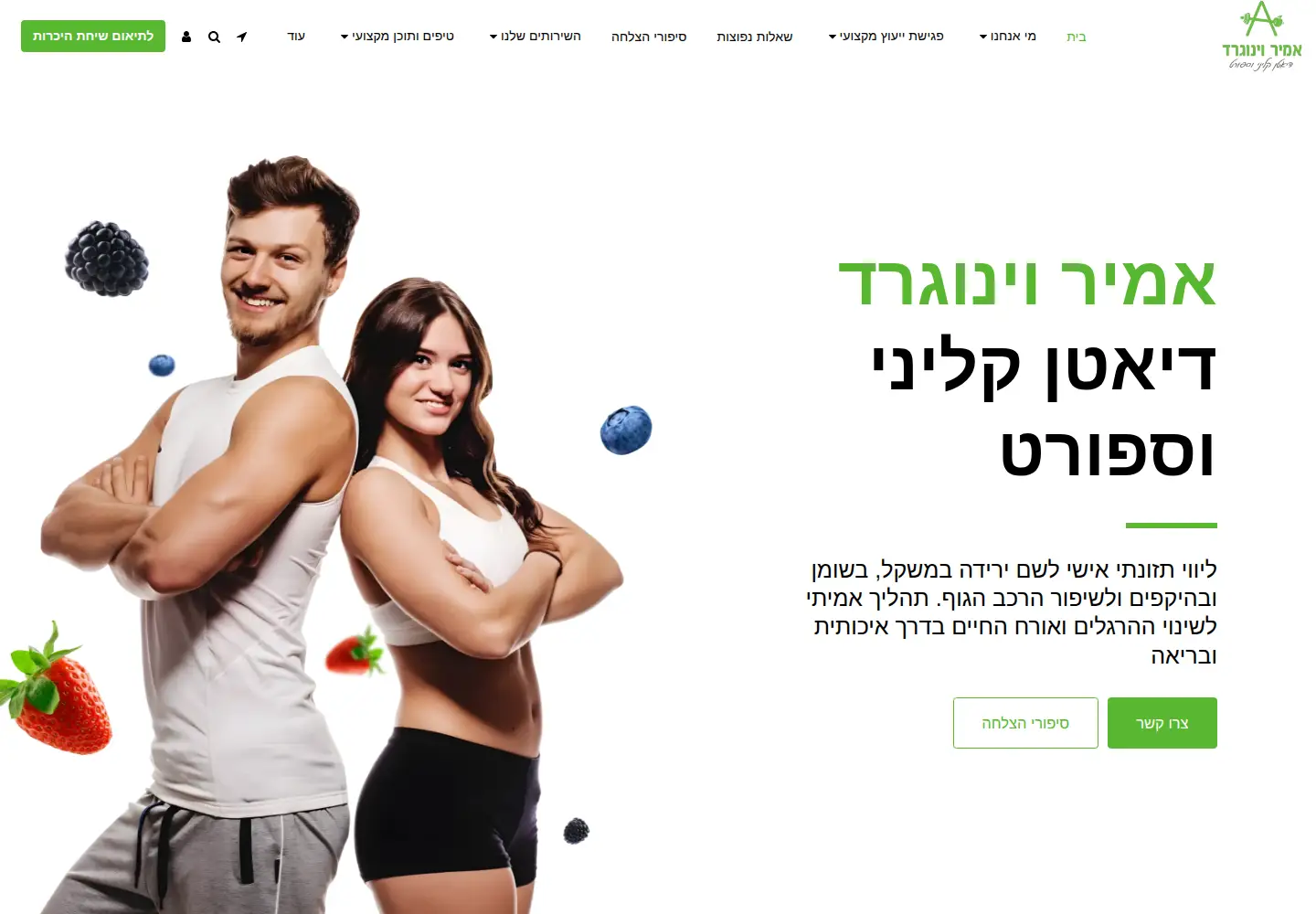 Screenshot of dietamir.co.il
