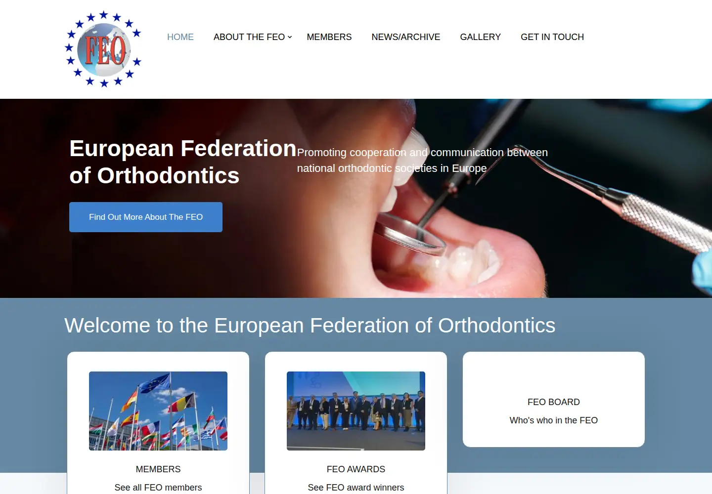 Captured homepage of feo-online.com in the current scan