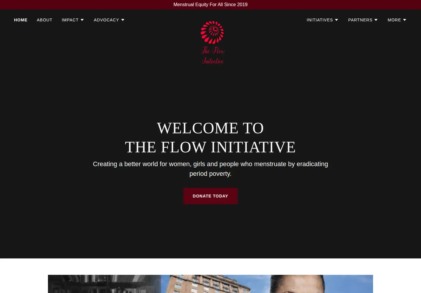 Captured homepage of theflowinitiativefoundation.org in the current scan