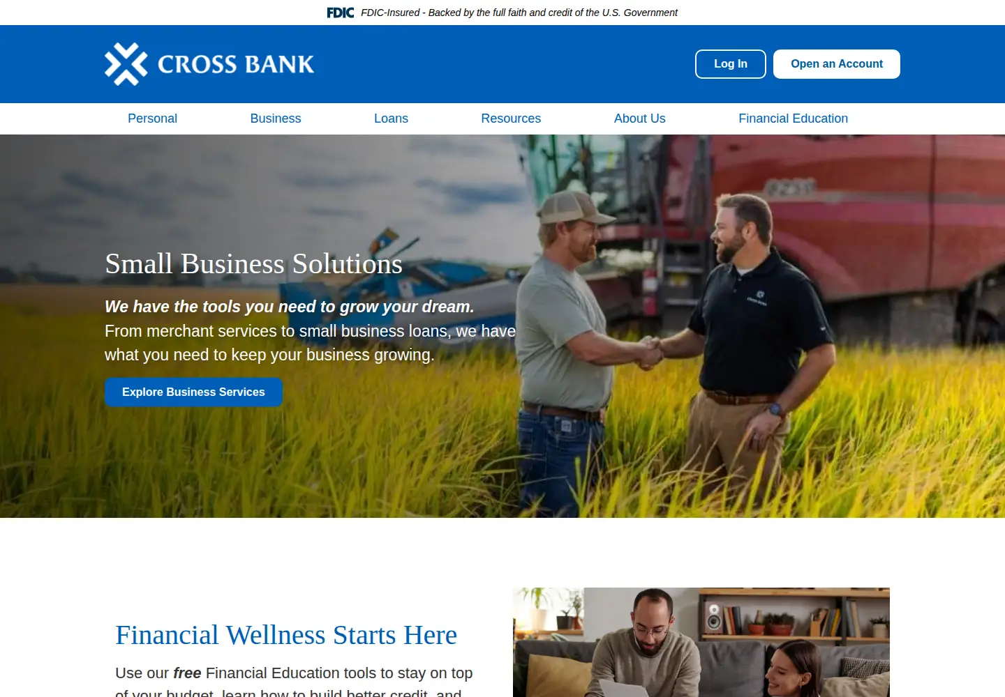 Captured homepage of mycrossbank.com in the current scan