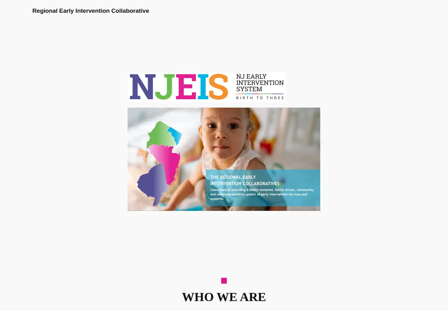 Captured homepage of njreic.org in the current scan
