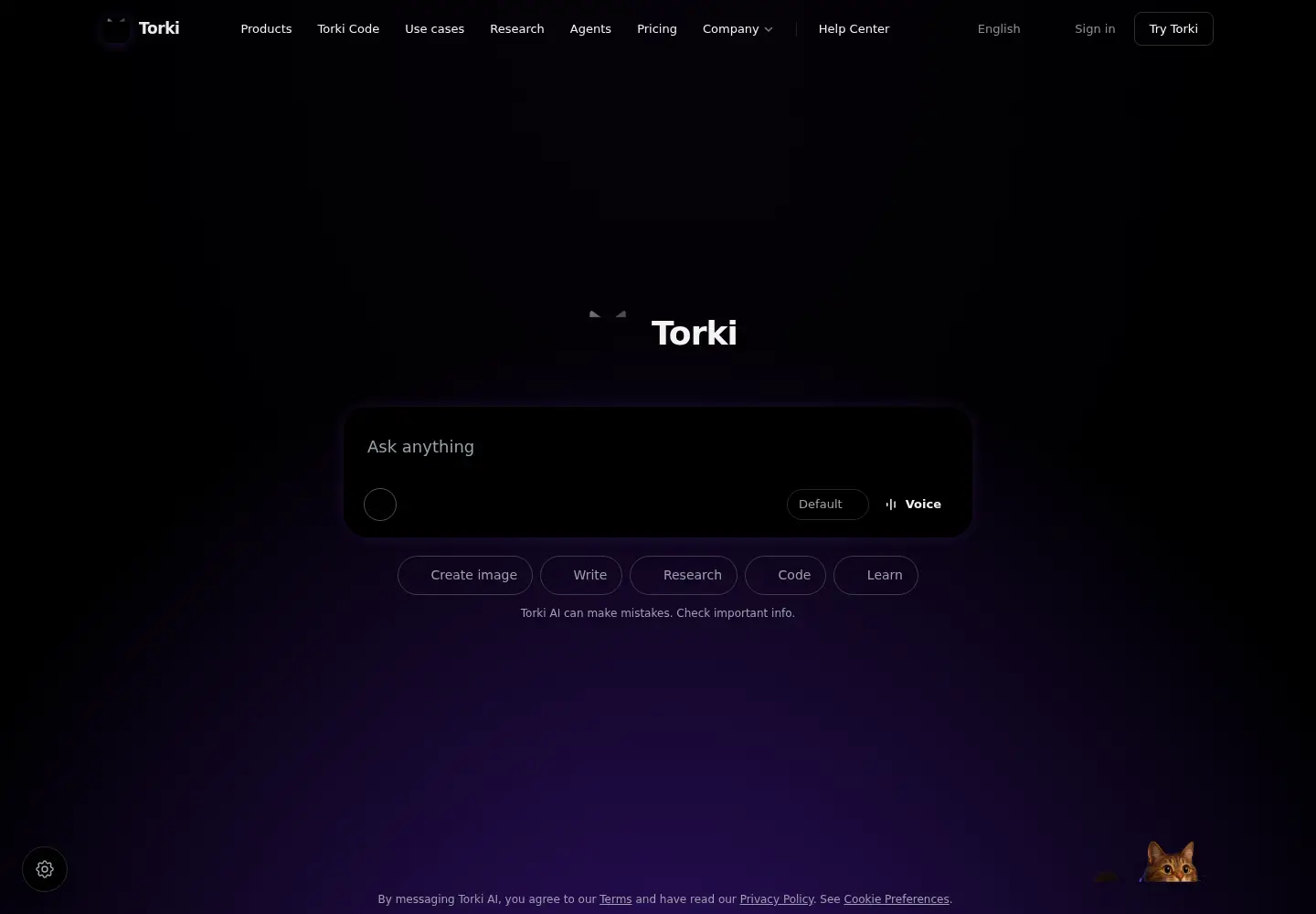 Captured homepage of torkiai.com in the current scan