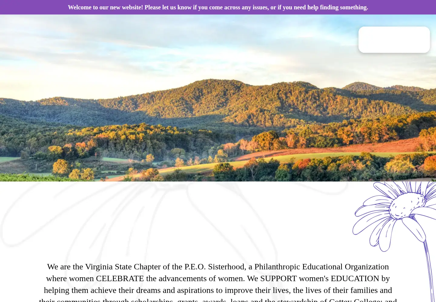 Screenshot of vapeo.org