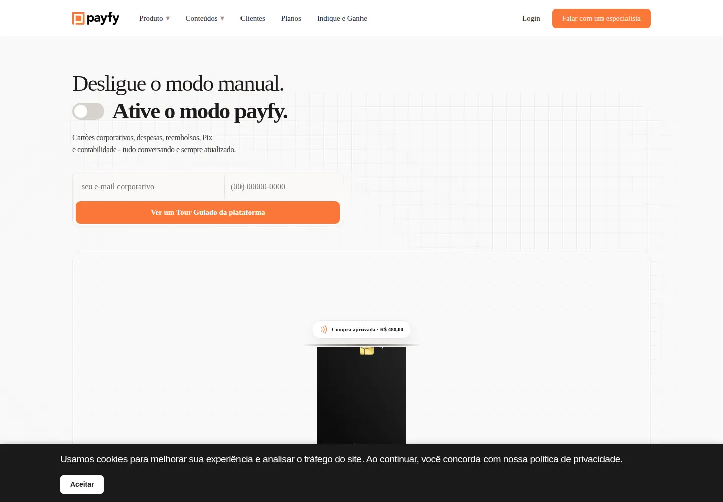 Captured homepage of payfy.io in the current scan