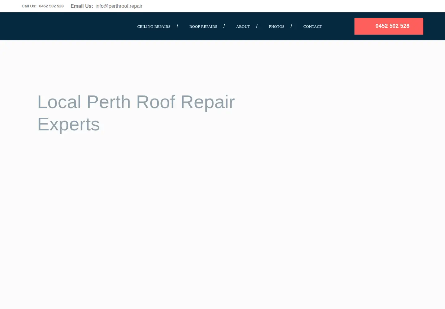 Captured homepage of pinnacleroofingandceilingservices.com in the current scan