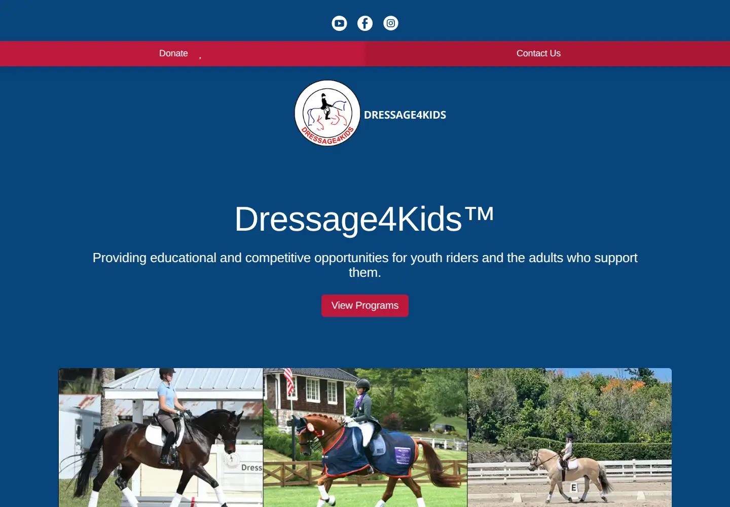 Screenshot of dressage4kids.org