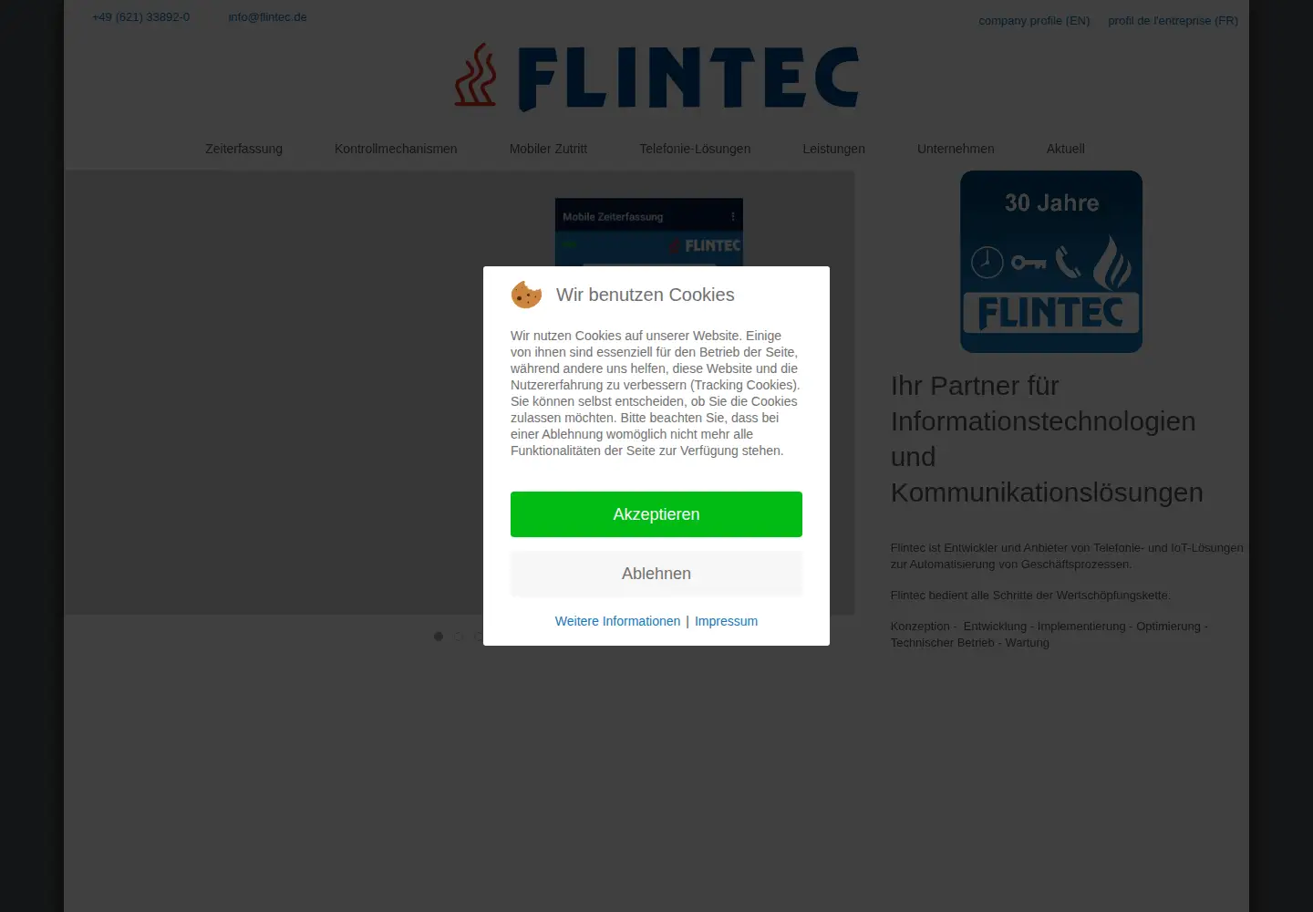 Screenshot of flintec.de