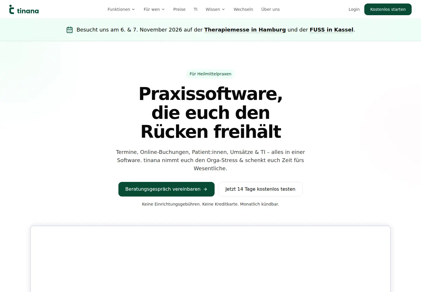 Captured homepage of tinana.de in the current scan