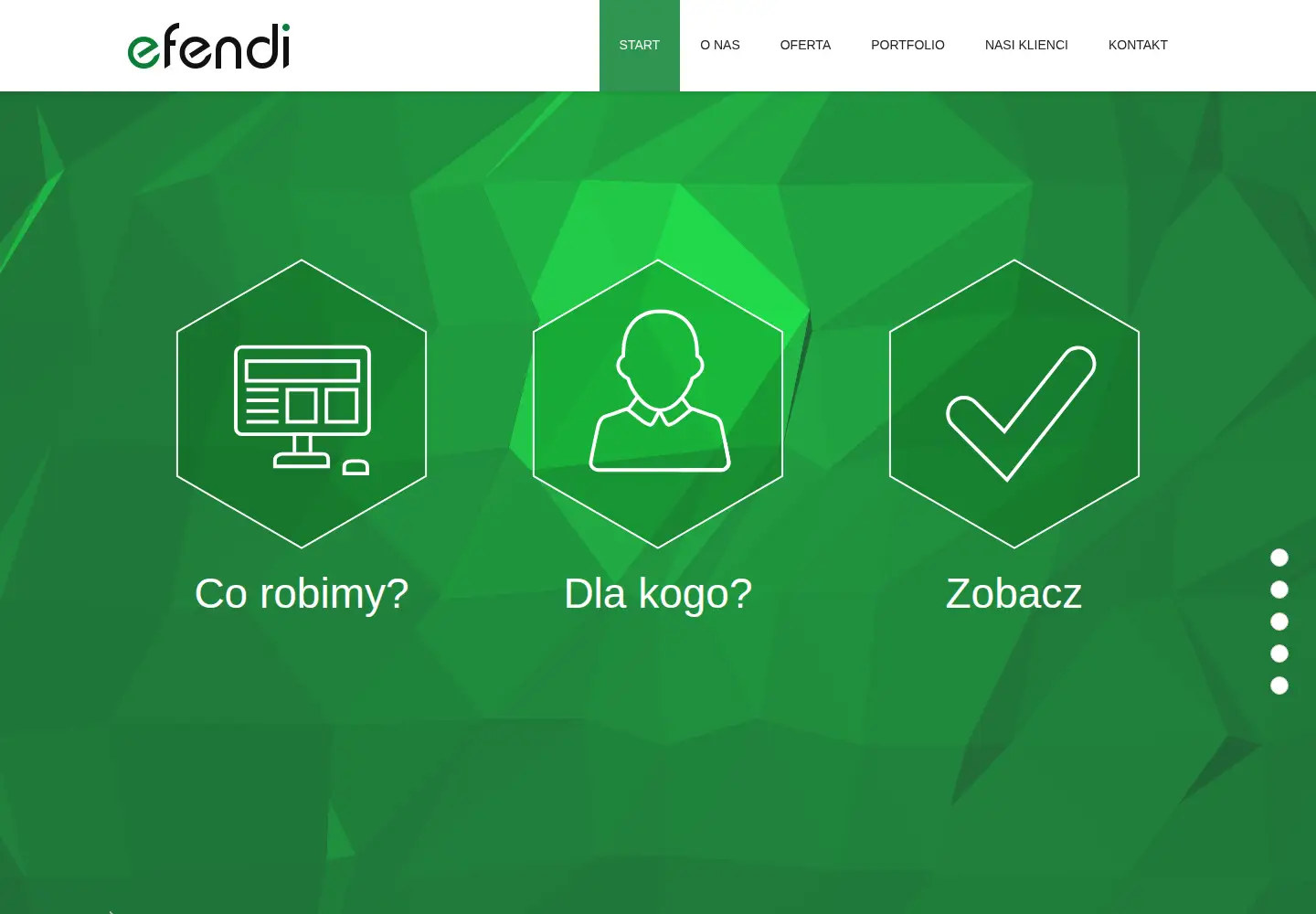 Screenshot of efendi.pl