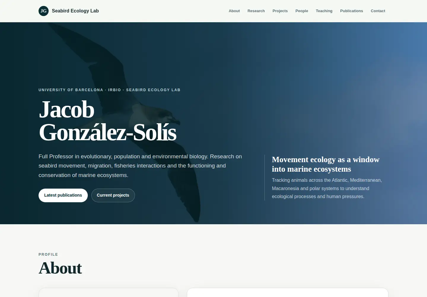 Captured homepage of gonzalez-solis.com in the current scan