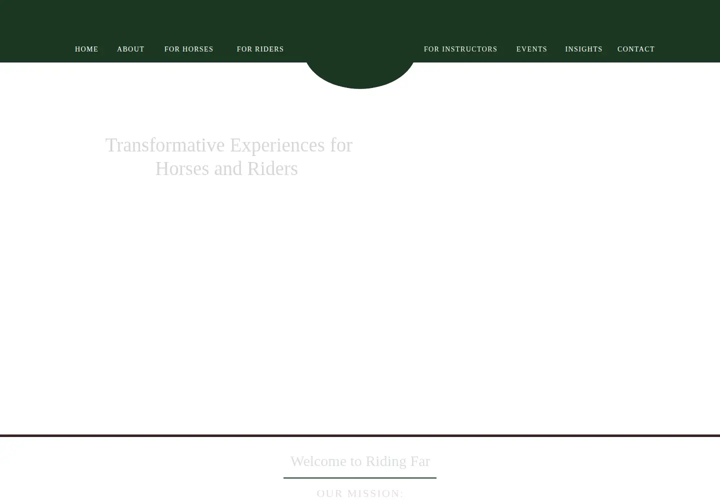 Screenshot of ridingfar.com