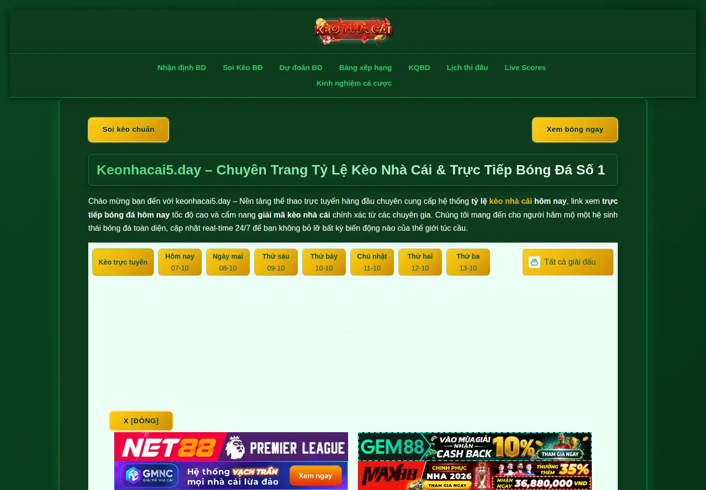 Captured homepage of keonhacaipro.org in the current scan