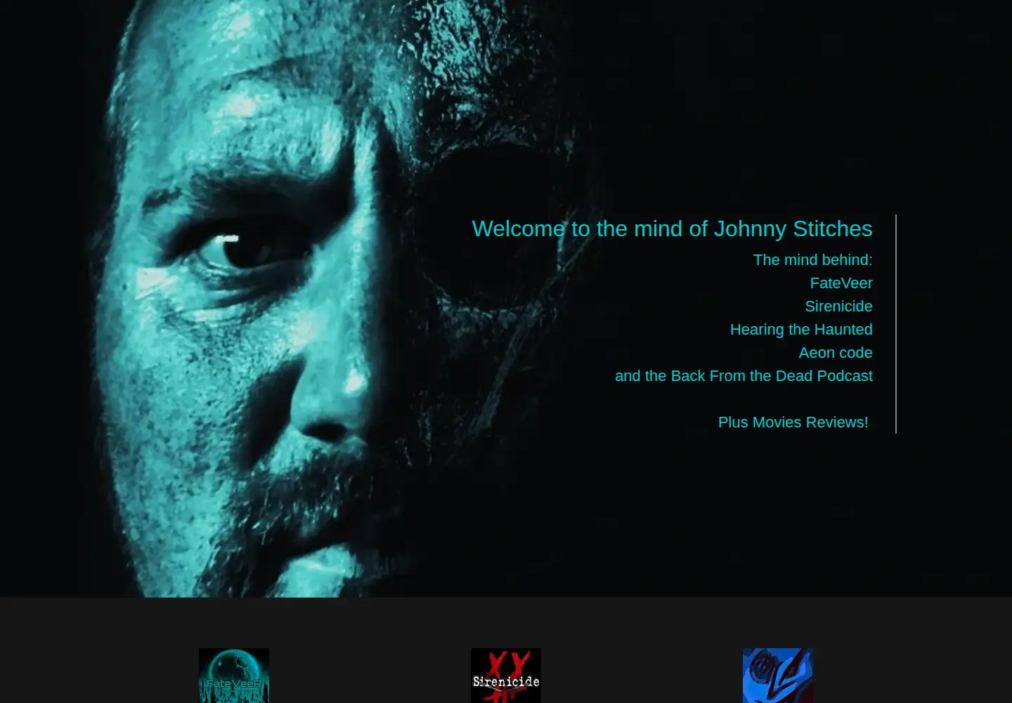 Captured homepage of johnnystitches.com in the current scan