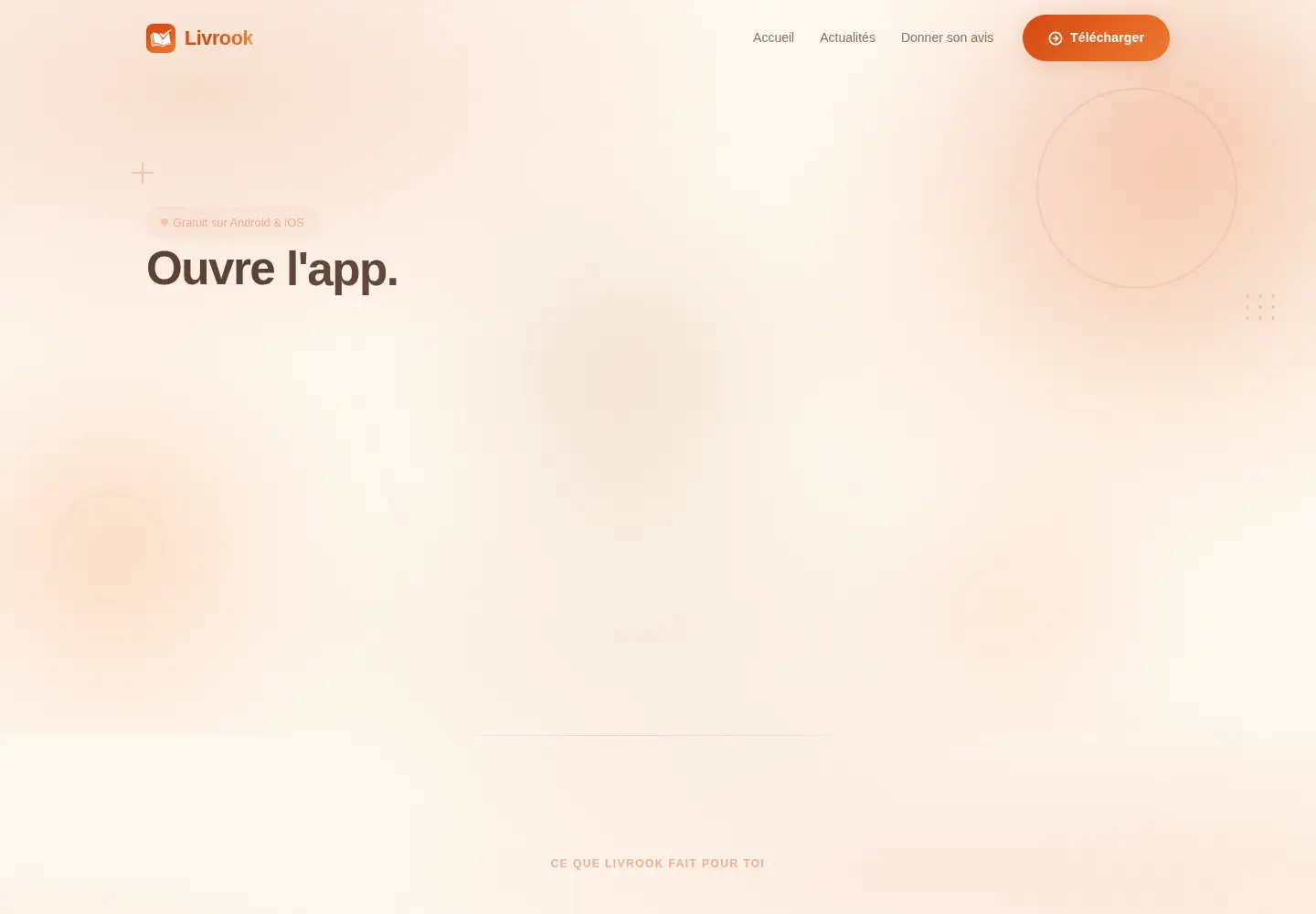 Screenshot of livrook.com