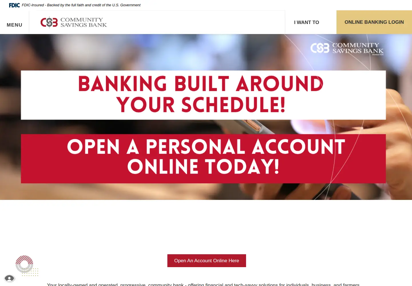 Screenshot of csbiowa.com