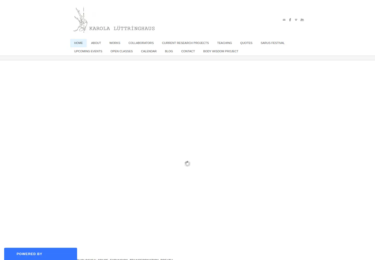 Screenshot of karolaluettringhaus.com