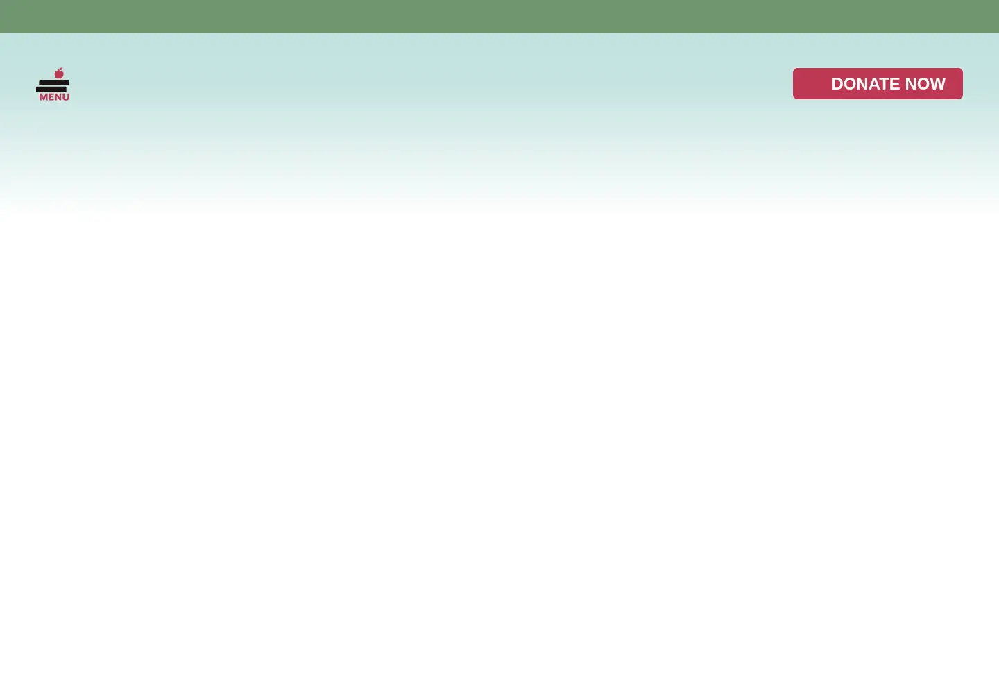 Screenshot of vipsbr.org