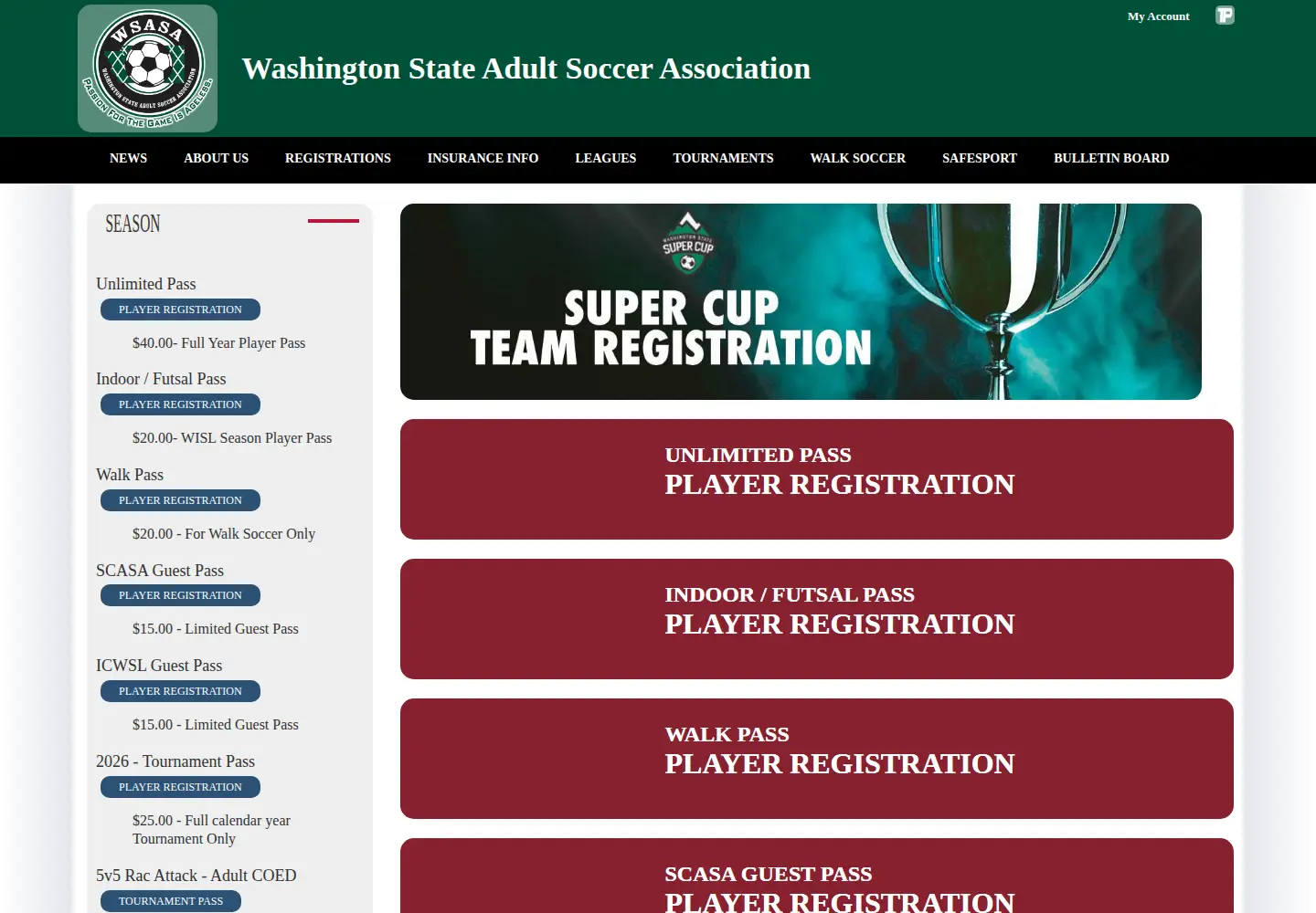 Captured homepage of wssa.org in the current scan