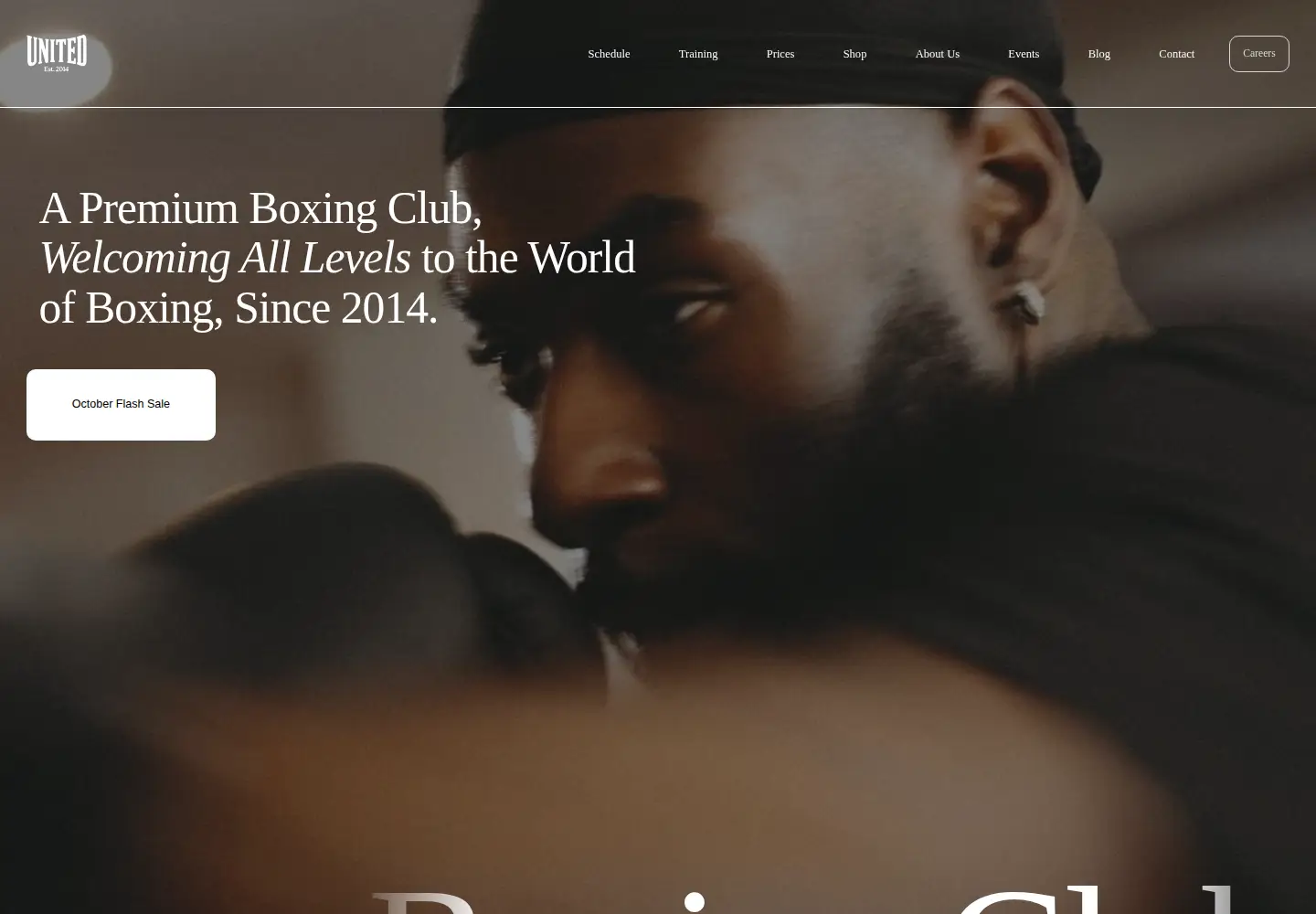 Captured homepage of unitedboxing.club in the current scan