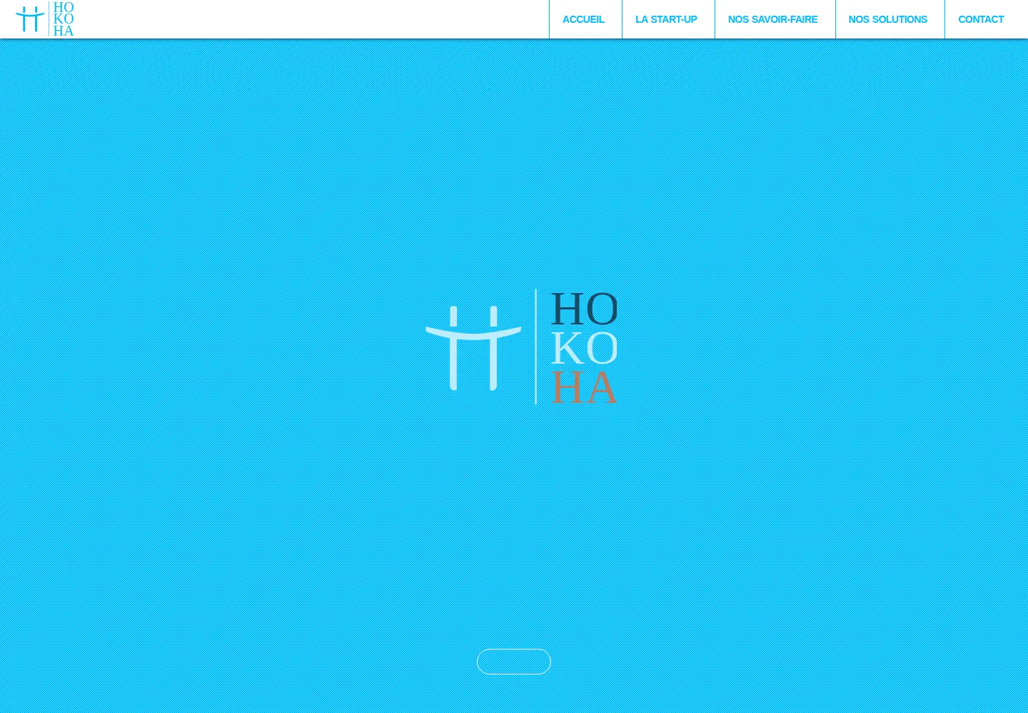 Screenshot of hokoha.com