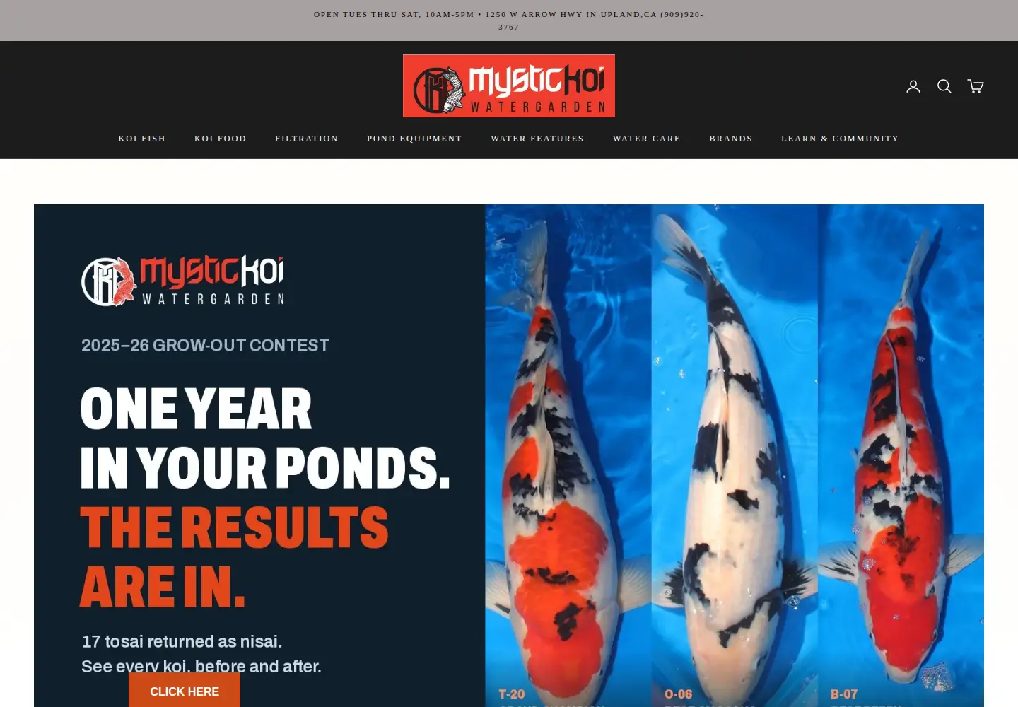 Screenshot of mystickoi.com