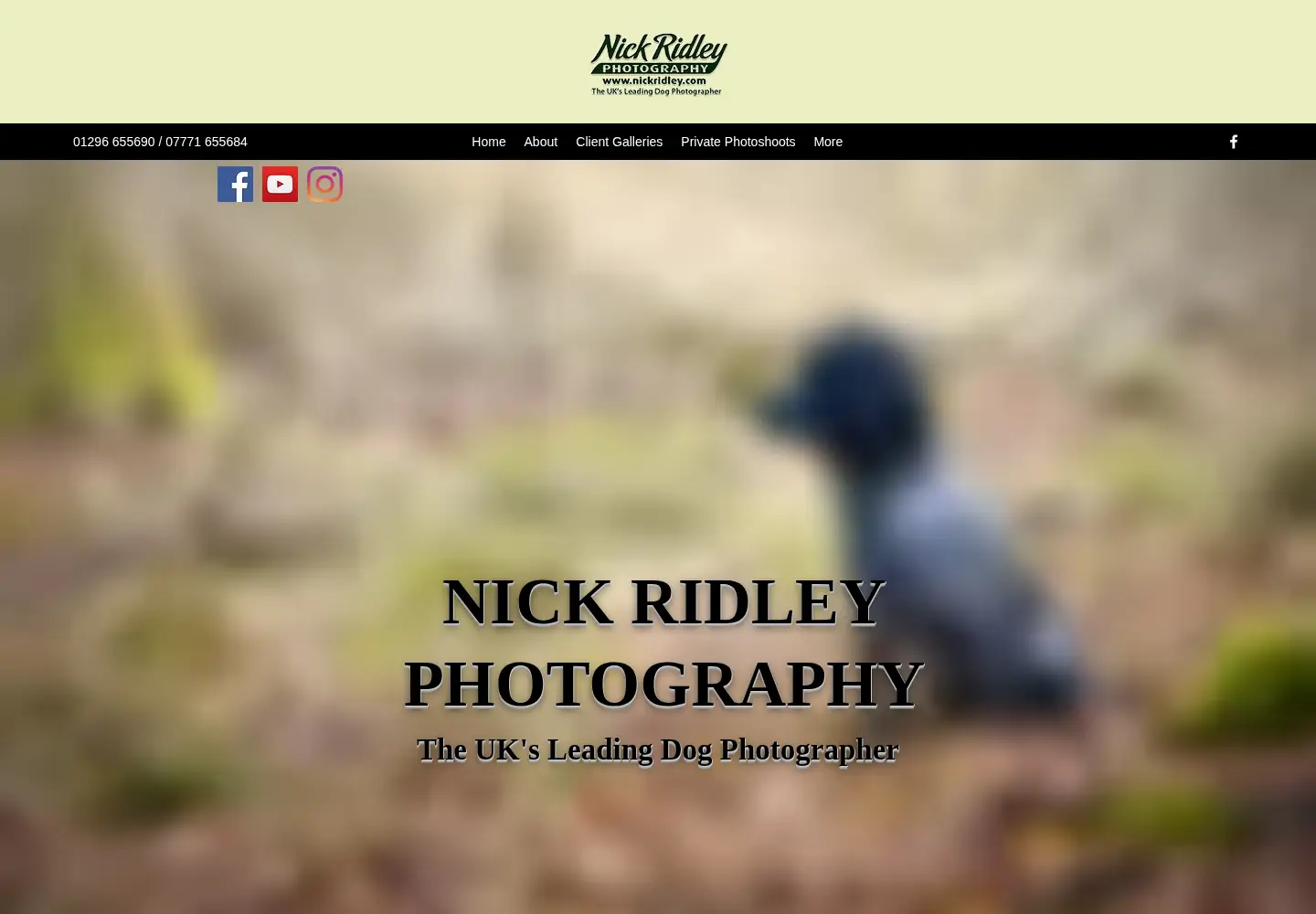 Screenshot of nickridley.com