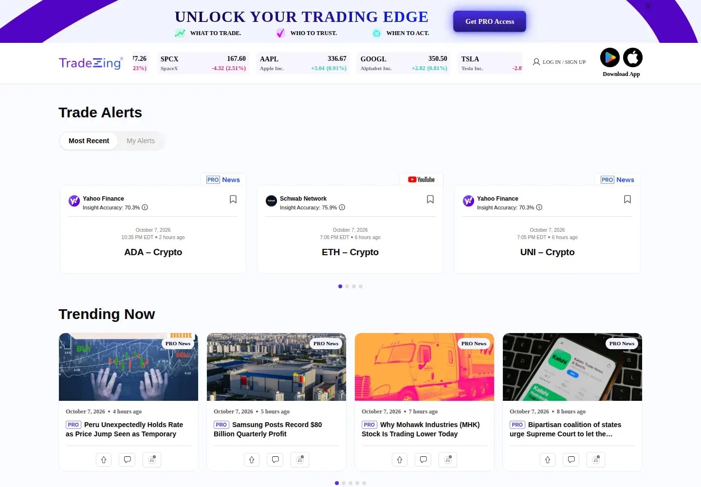 Captured homepage of tradezing.com in the current scan