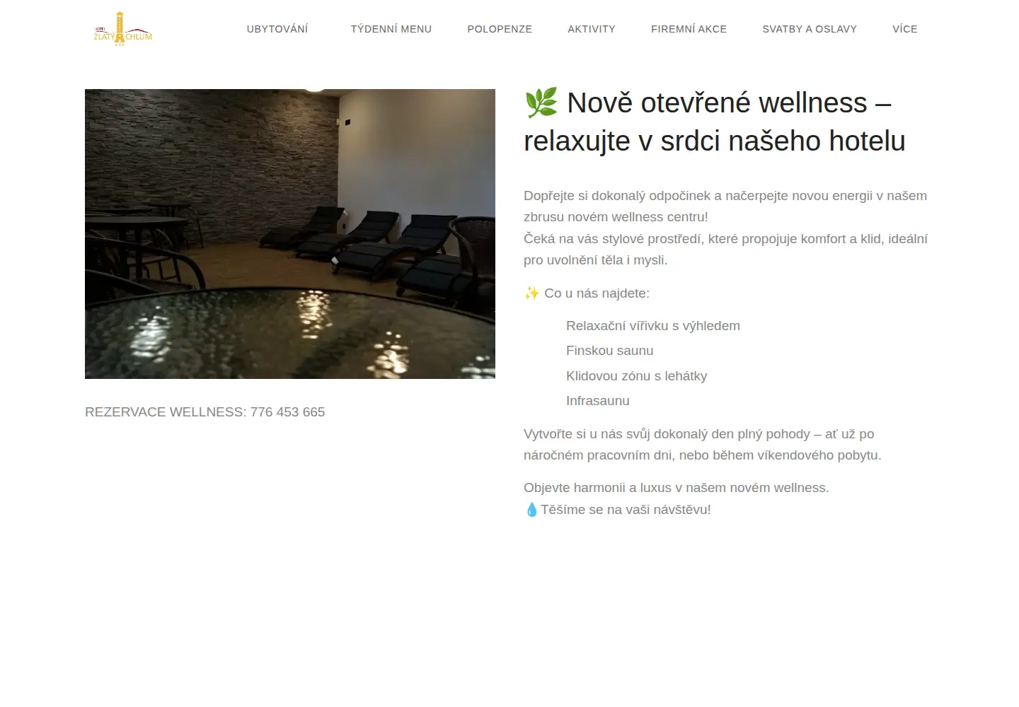 Screenshot of hotel-zlatychlum.cz