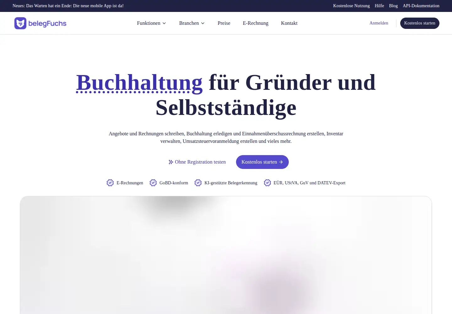 Captured homepage of belegfuchs.de in the current scan