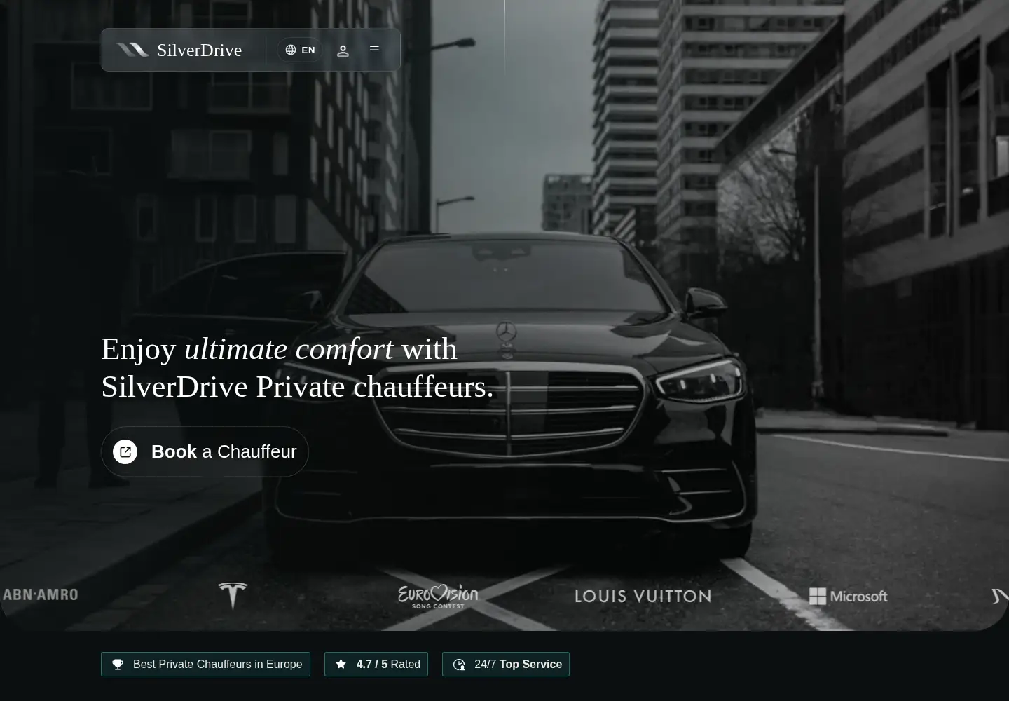 Screenshot of silverdrive.nl