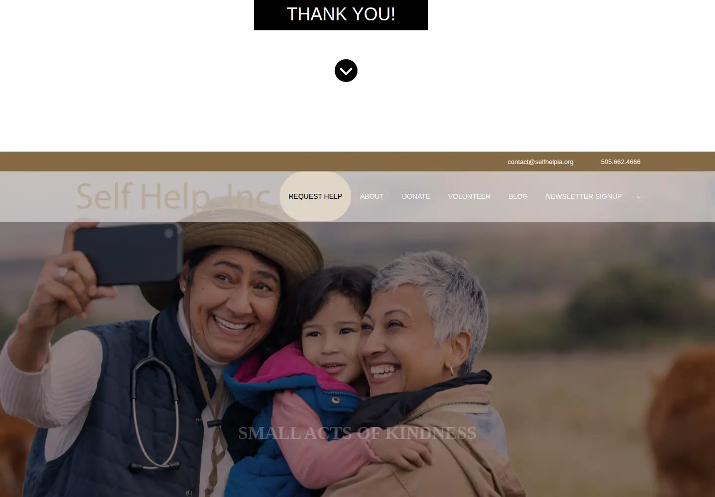 Screenshot of selfhelpla.org