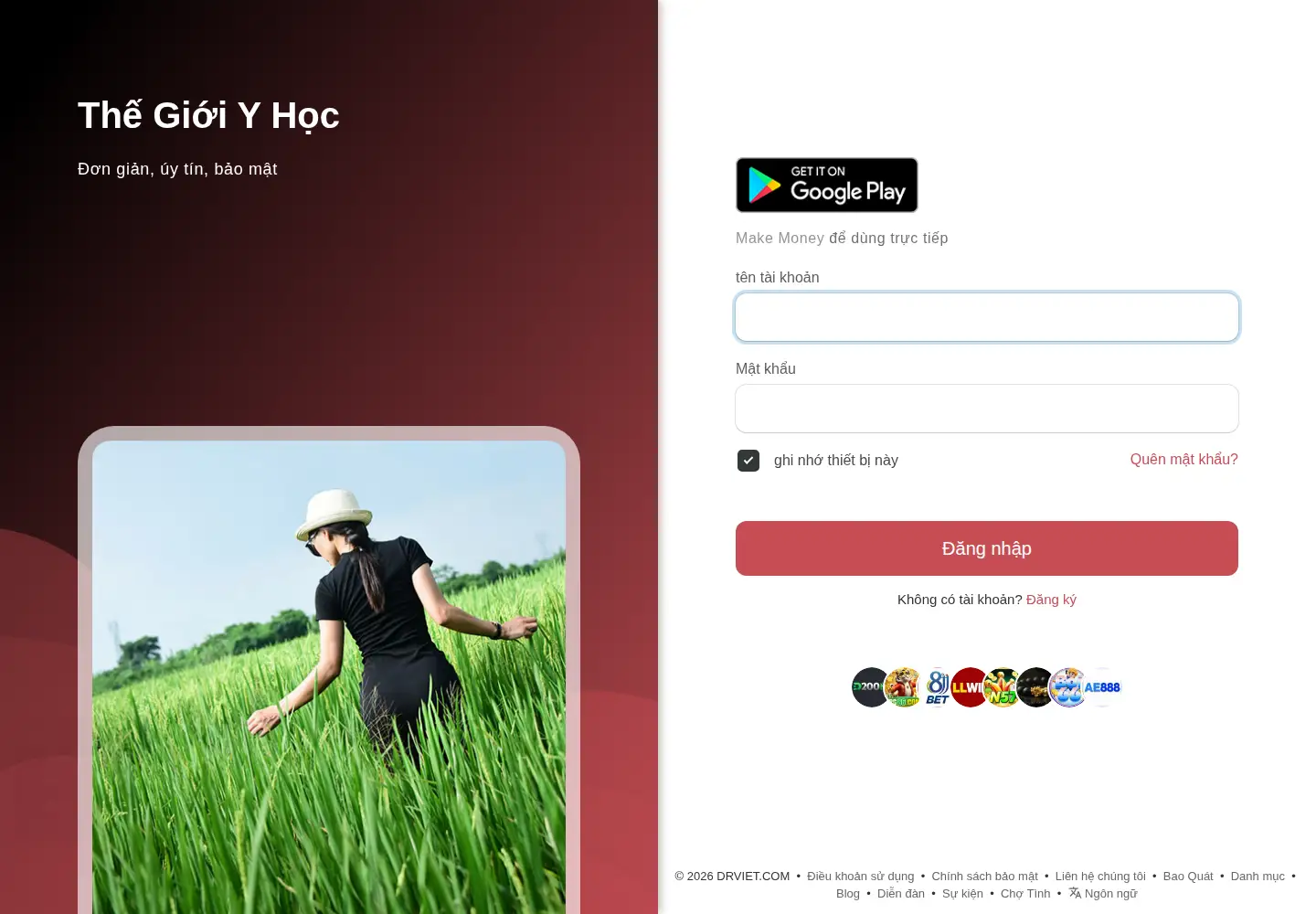 Screenshot of drviet.com