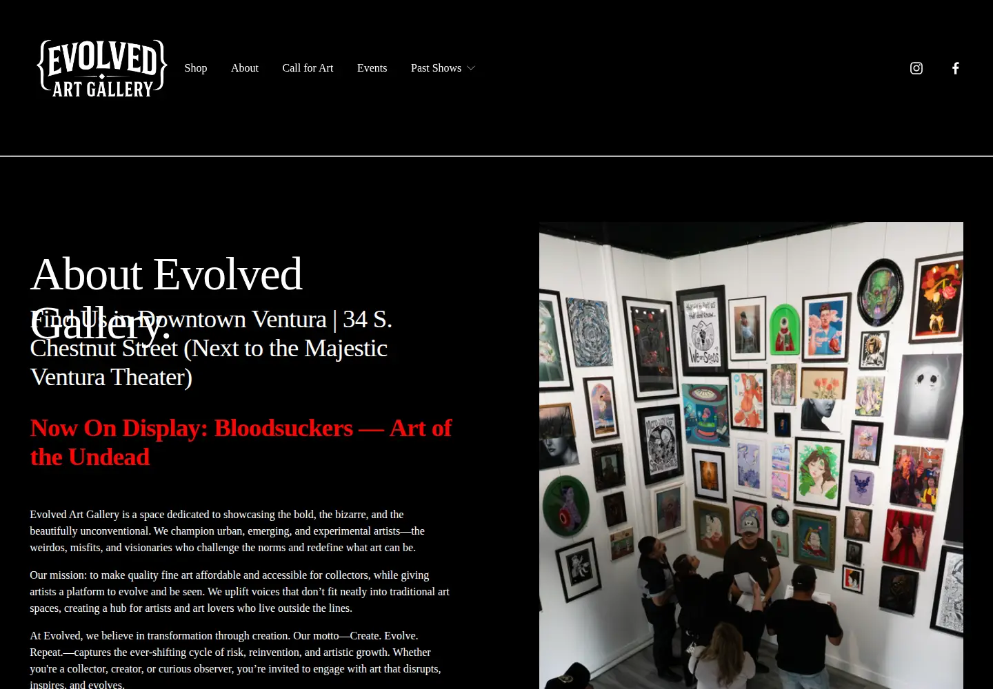 Screenshot of evolvedartgallery.com
