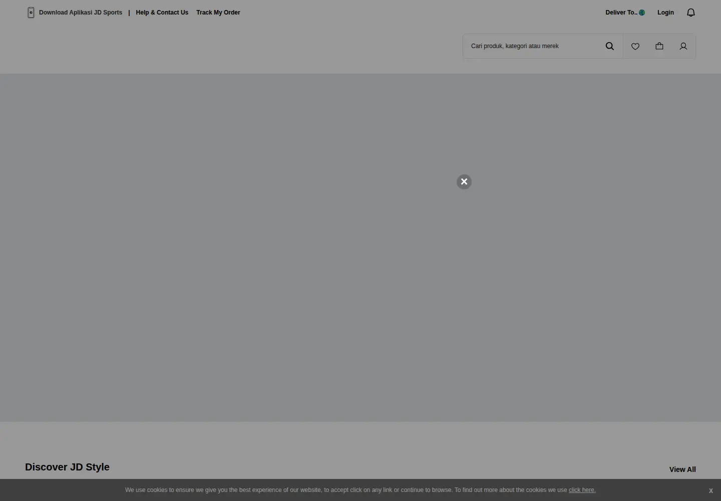Captured homepage of jdsports.id in the current scan