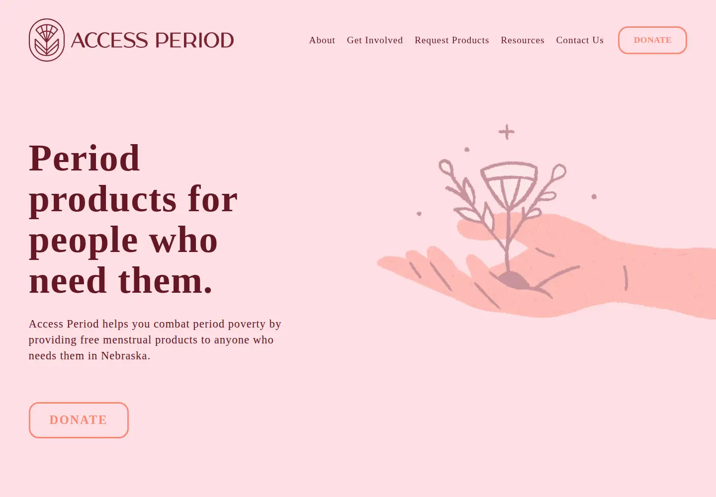 Screenshot of accessperiod.com
