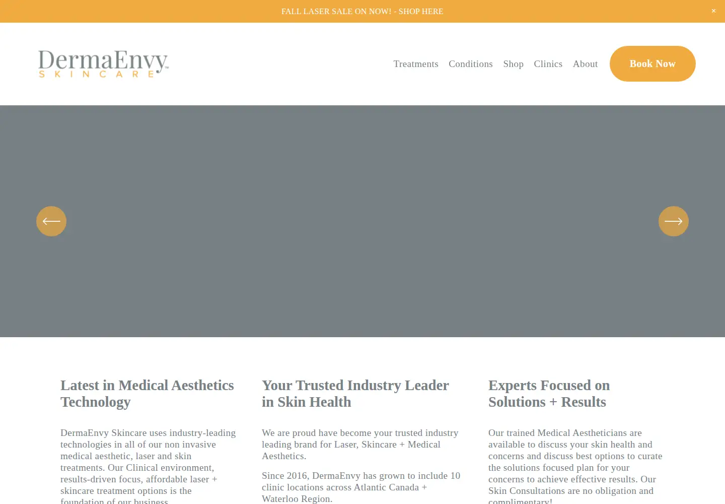 Screenshot of dermaenvy.com
