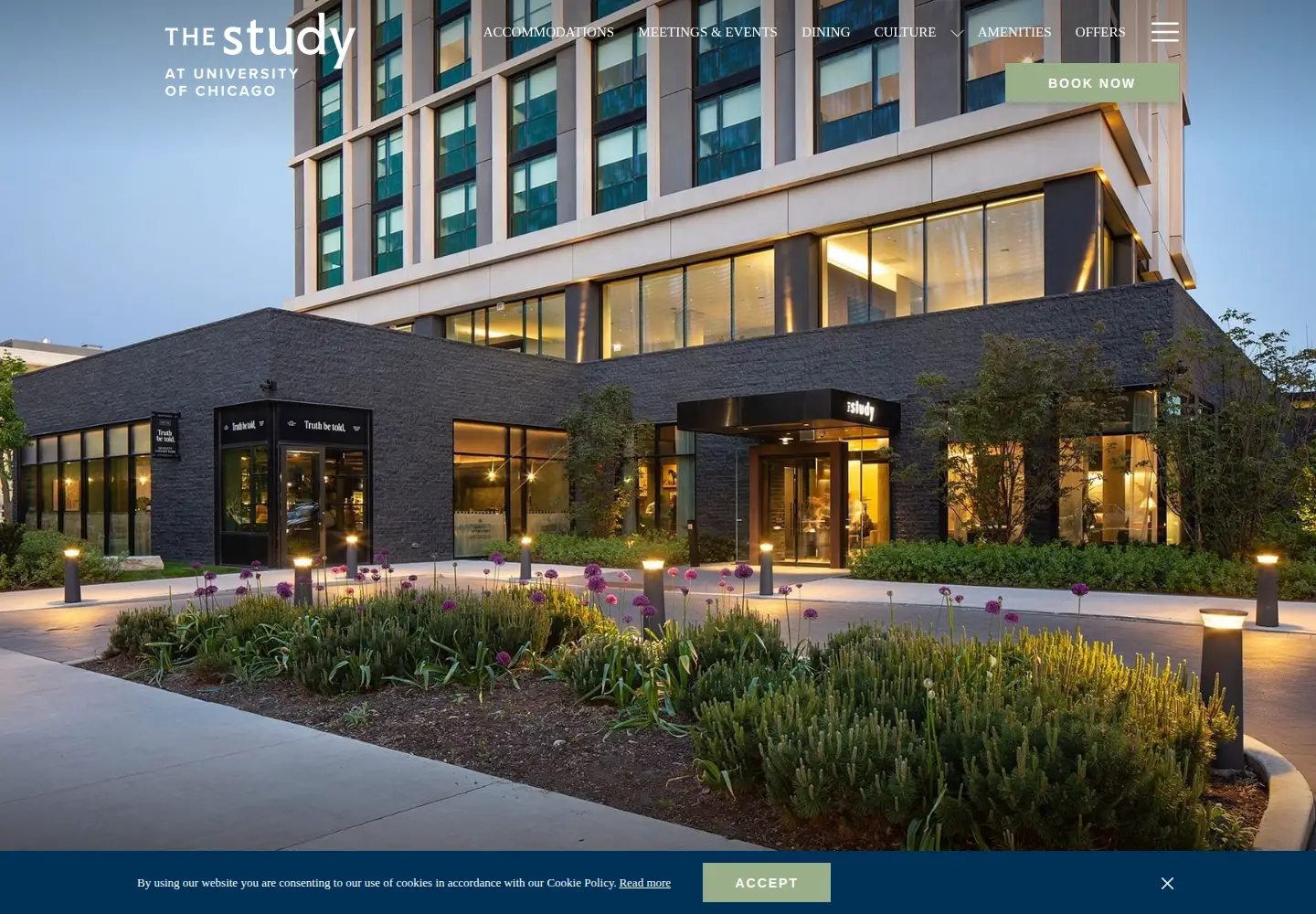 Screenshot of thestudyatuniversityofchicago.com