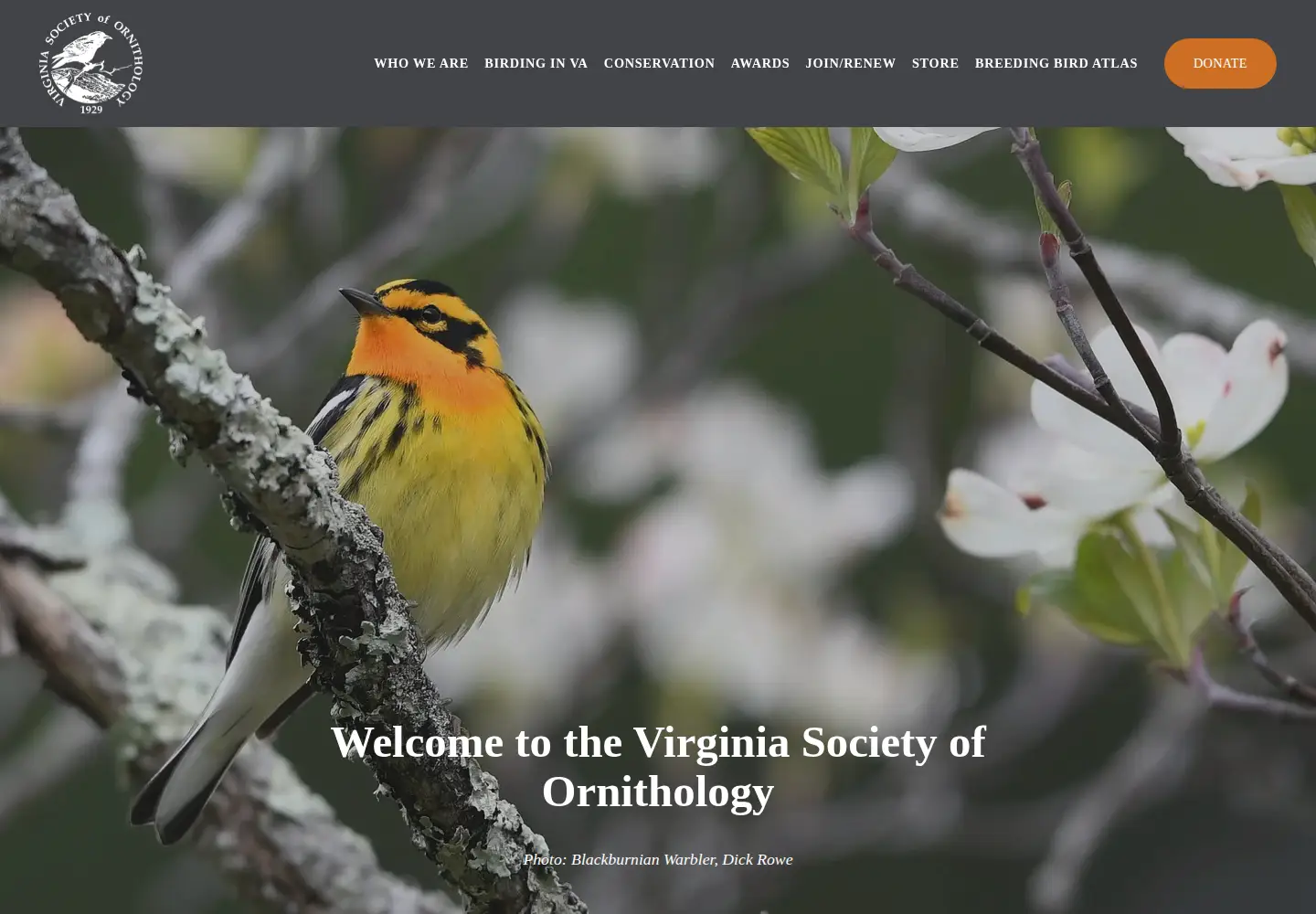 Captured homepage of virginiabirds.org in the current scan