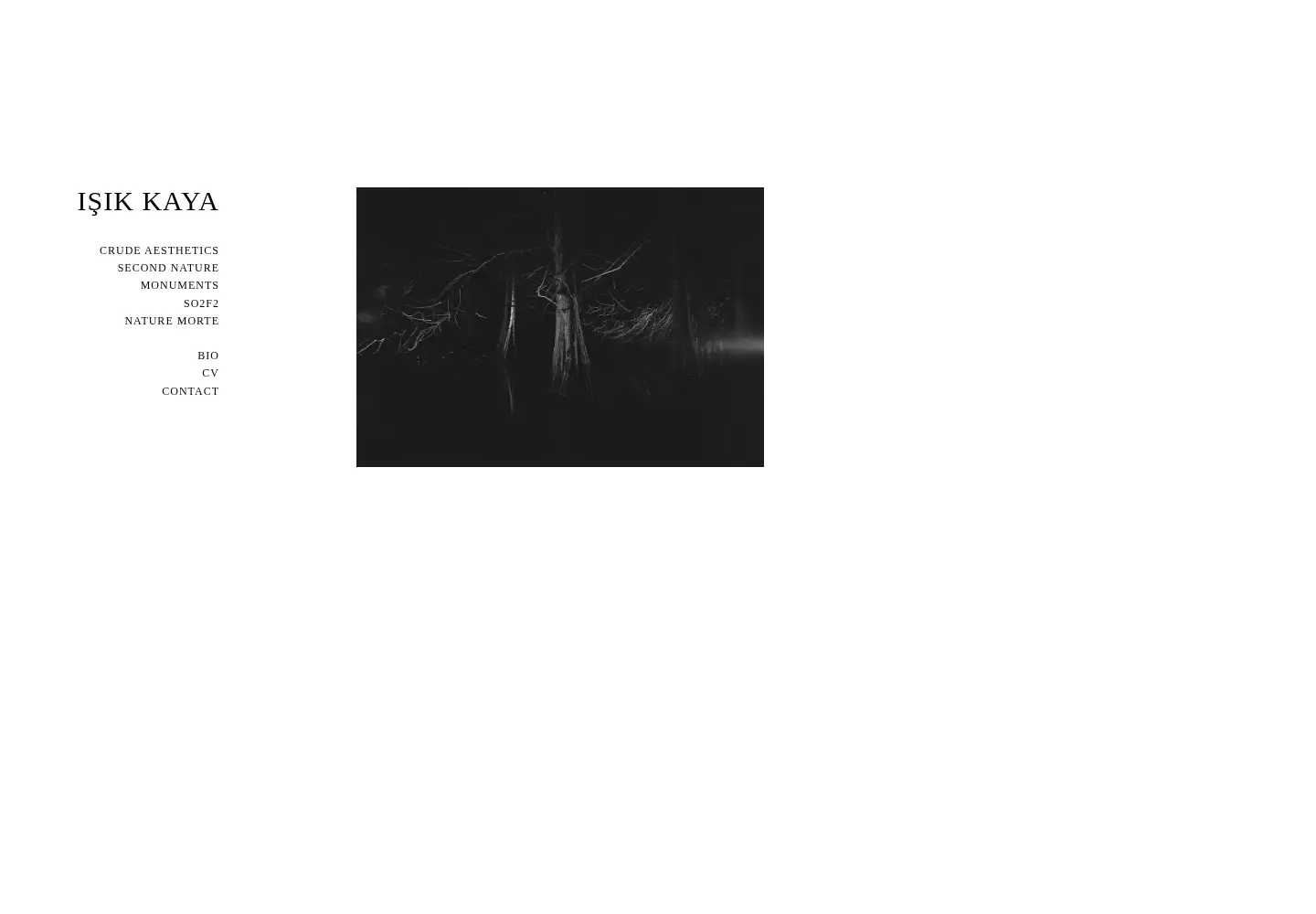 Captured homepage of isikkaya.com in the current scan