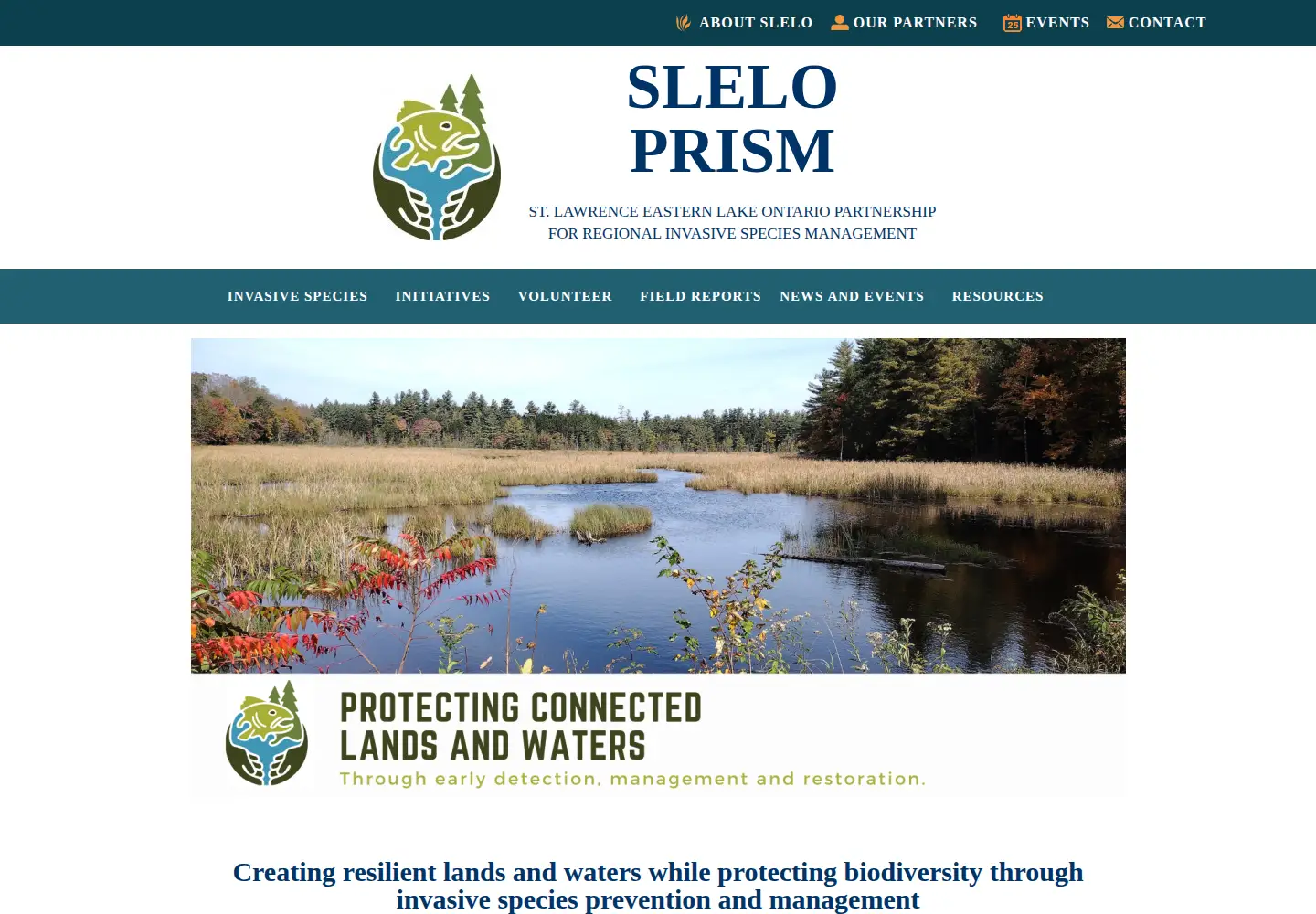 Captured homepage of sleloinvasives.org in the current scan