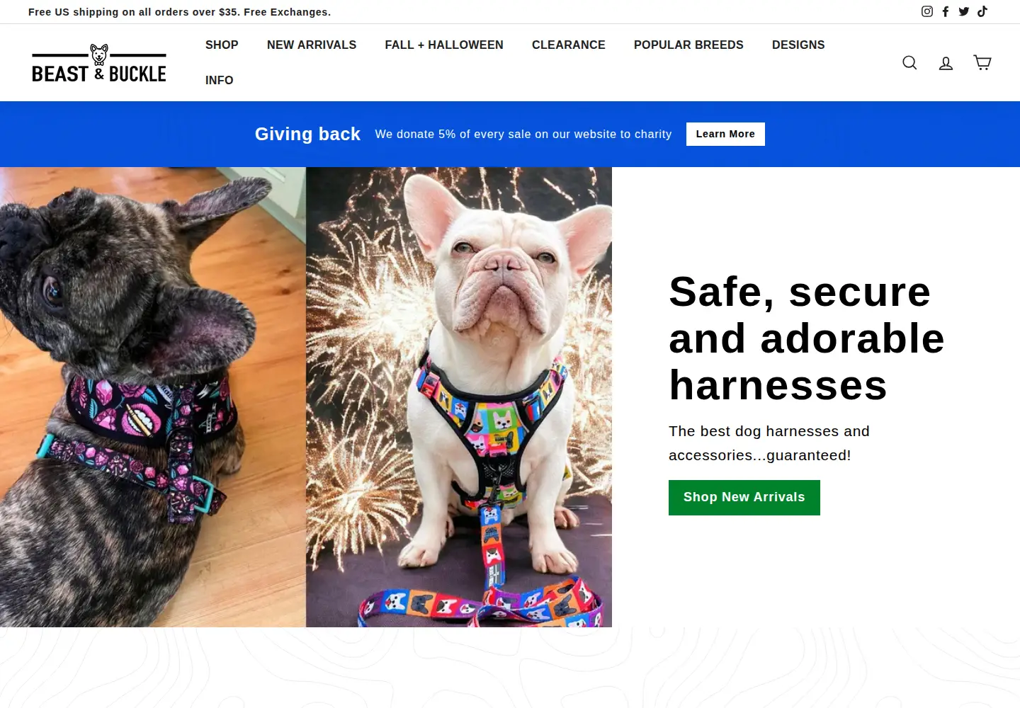 Captured homepage of beastandbuckle.com in the current scan