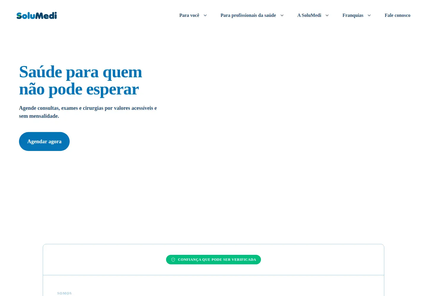 Captured homepage of solumedi.com.br in the current scan