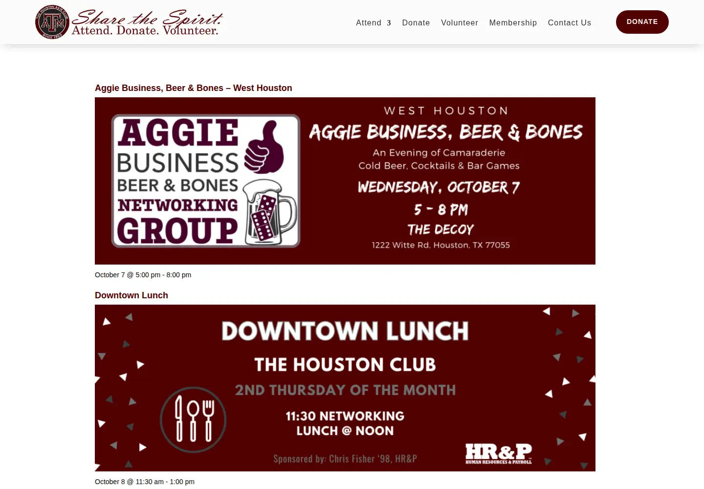Screenshot of houstonags.org