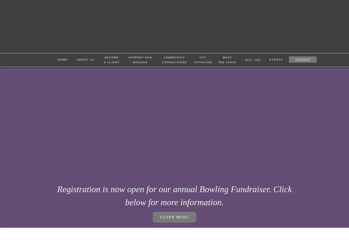 Screenshot of thehaasehouse.org from the current report