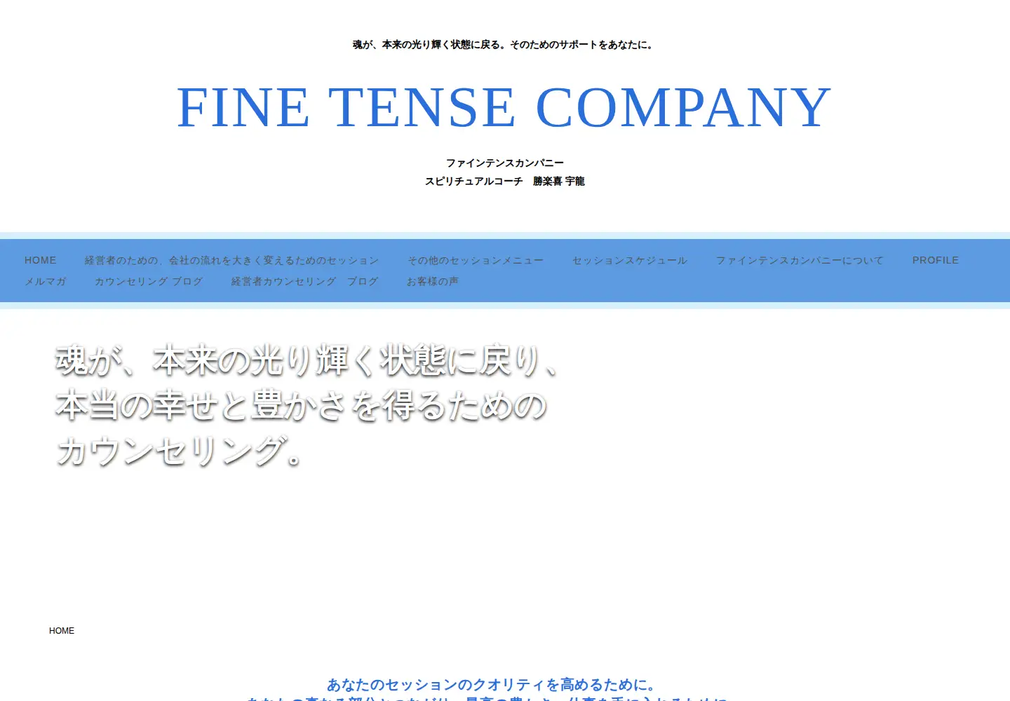 Screenshot of finetense.com
