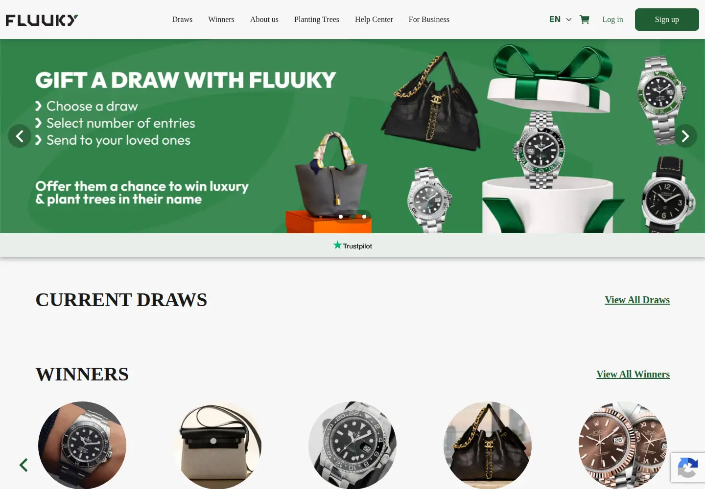 Captured homepage of fluuky.com in the current scan