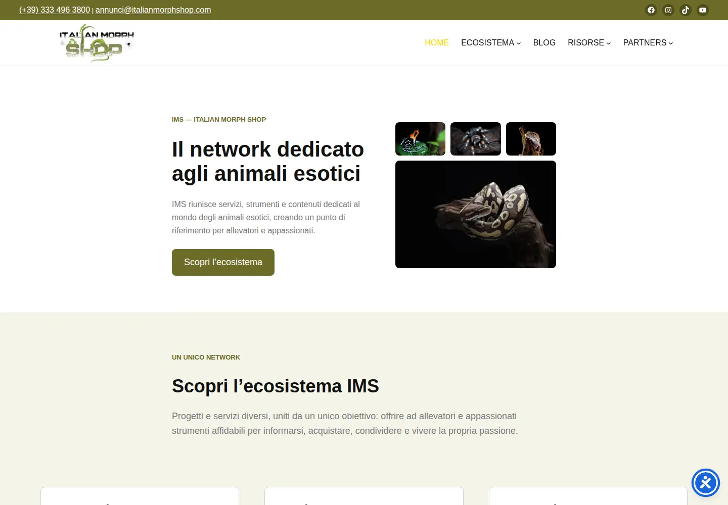 Screenshot of italianmorphshop.com