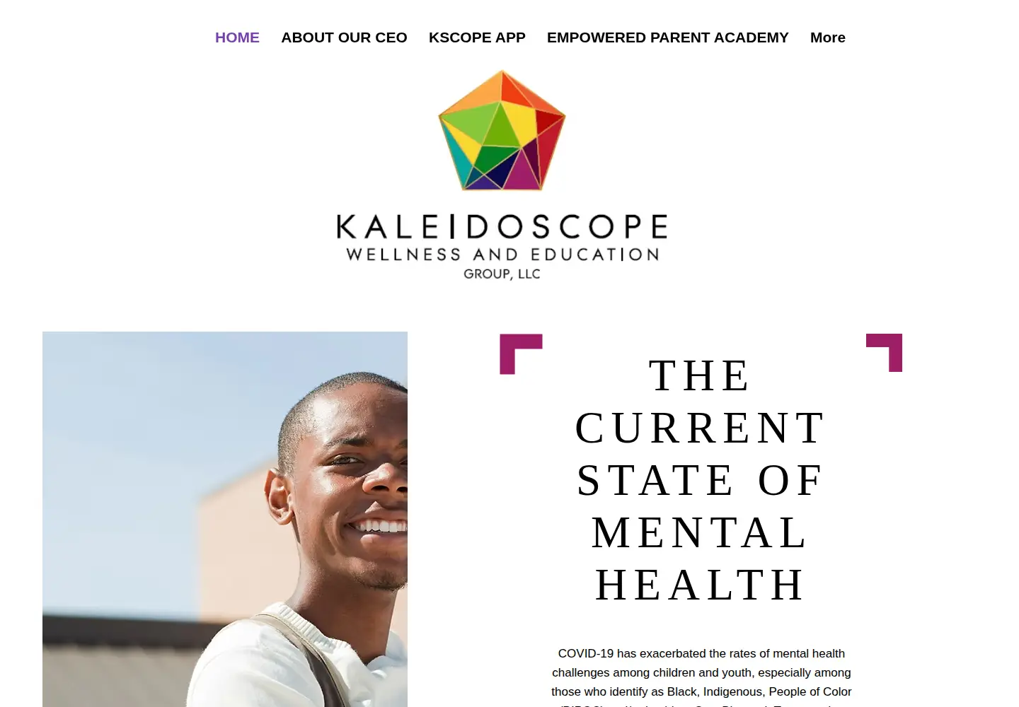 Captured homepage of wellnessineducation.org in the current scan