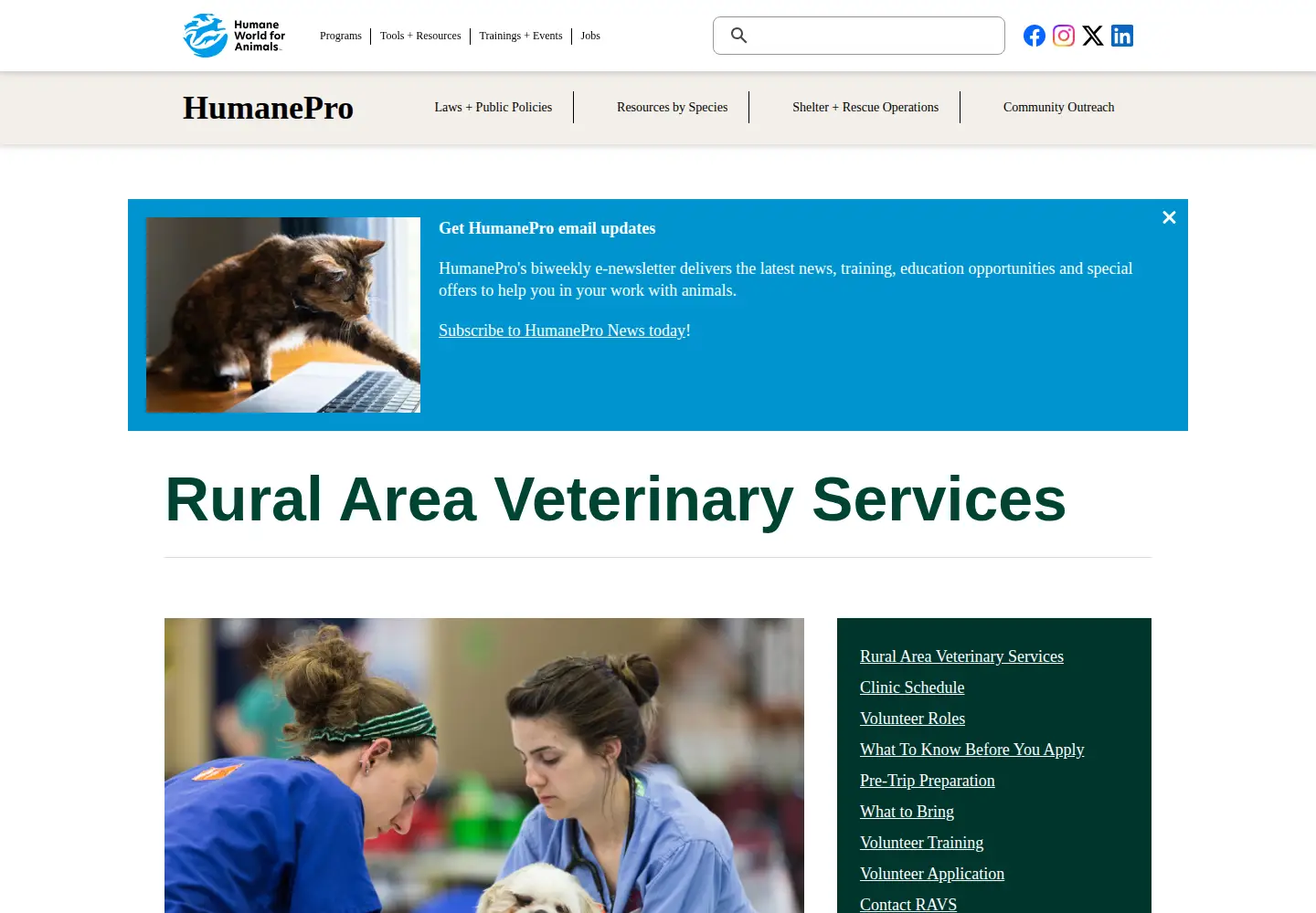 Screenshot of ruralareavet.org