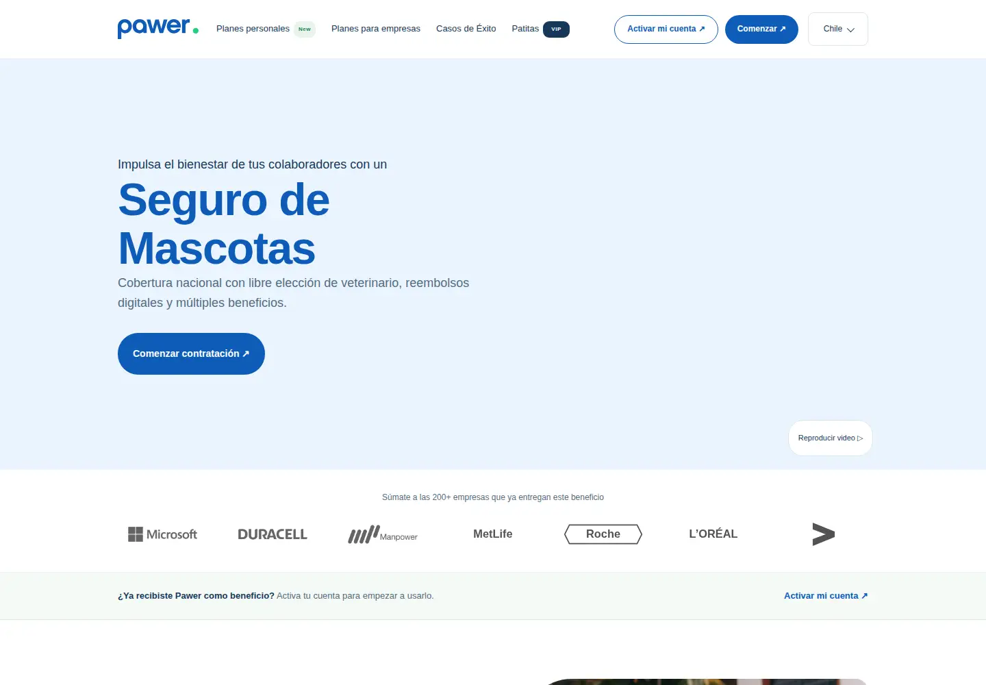 Screenshot of somospawer.com